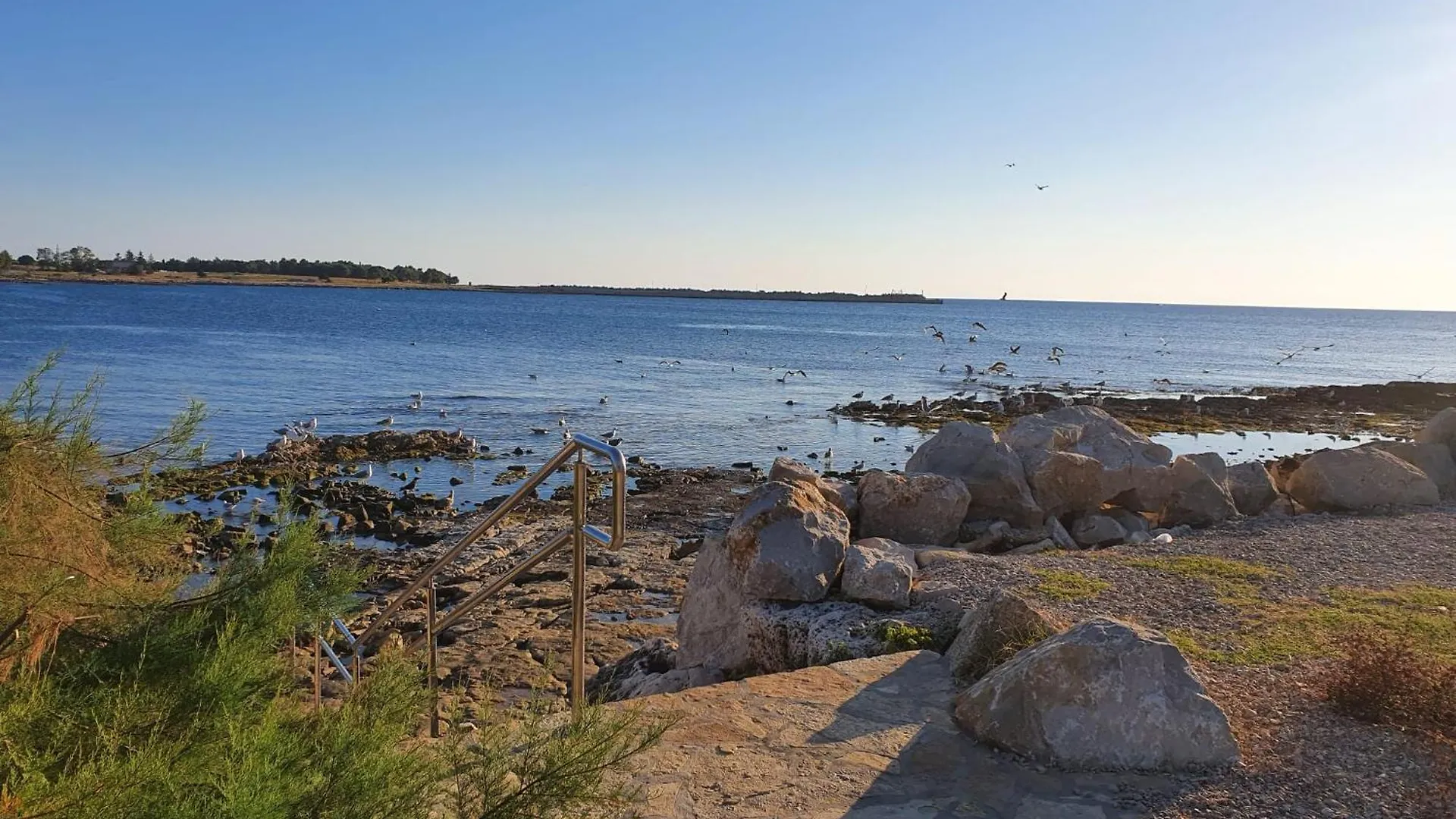 Apartments Eva Umag 0*,