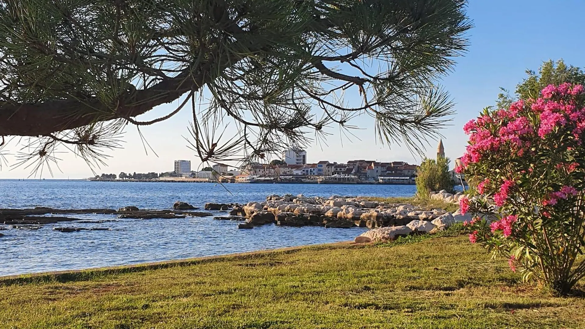 Apartments Eva Umag