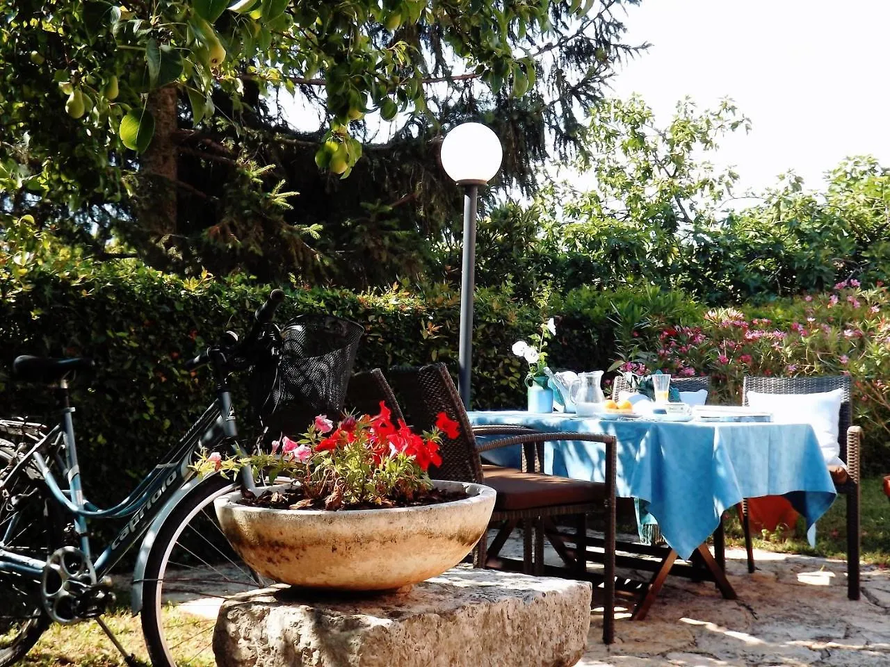 Apartments Eva Umag Croatia